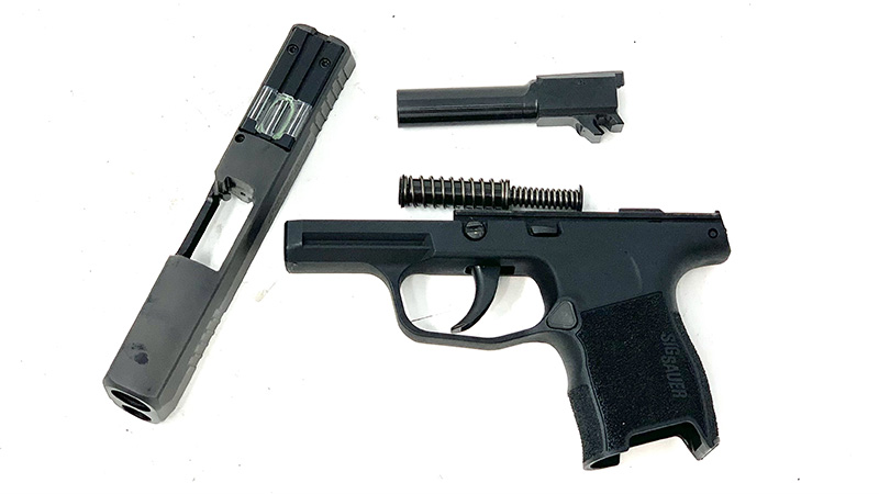 Sig P365 SAS Review Disassembled