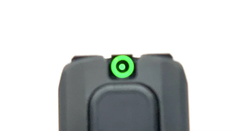 Sig P365 SAS Review Sight Picture