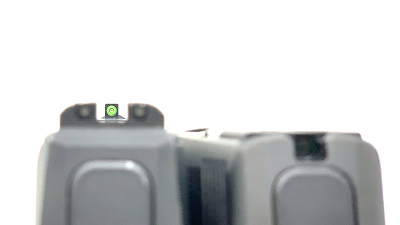 Sig P365 SAS vs P365 Sight Picture