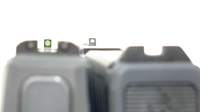 Sig P365 vs Taurus GX4 Sig Sight Picture