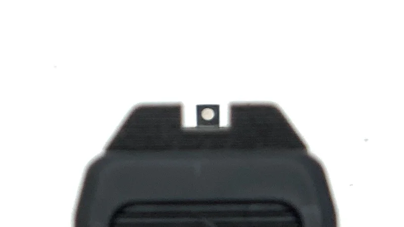 Taurus GX4 Review Sight Picture