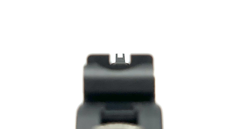 Ruger LCR 3 Inch Review Sight Picture
