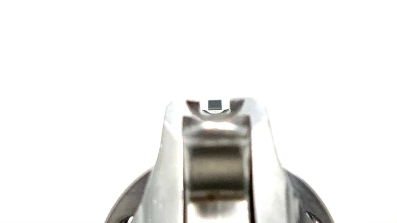 Ruger SP101 Review sights