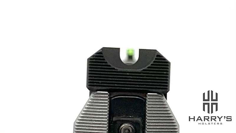 Wilson Combat EDC X9 sight picture