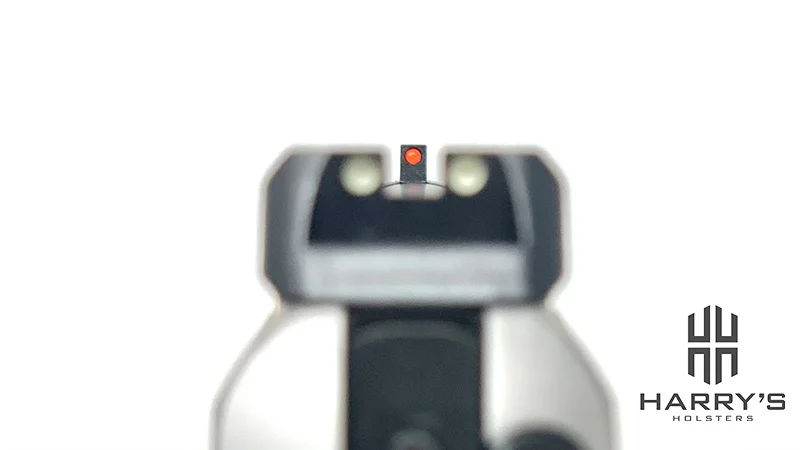 Springfield 1911 EMP sight picture