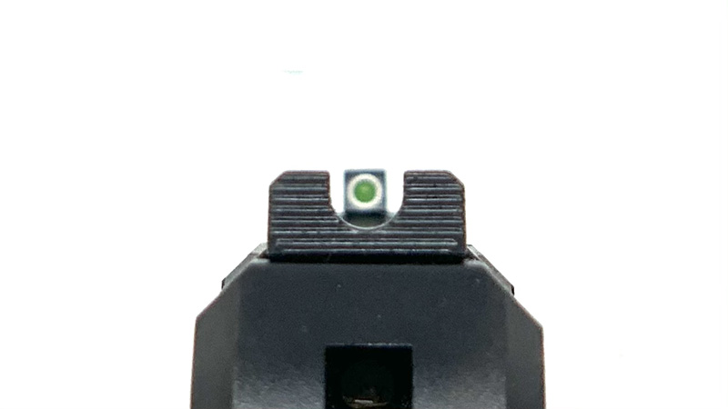 Ruger LCP Max Review 10