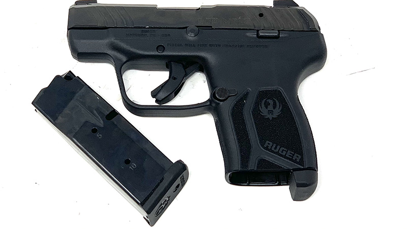 Ruger LCP Max Review 19