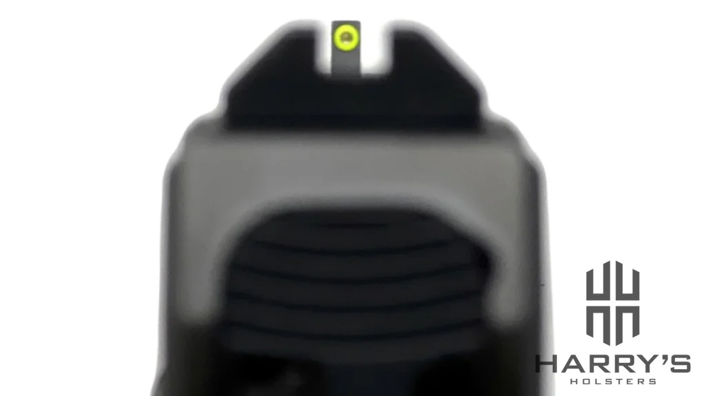 Shadow Systems MR920L Elite Review Sight Picture